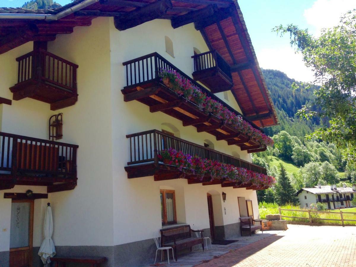 Flora Alpina Apartments-Residenza Verdebjo Gressoney-Saint-Jean Exterior foto
